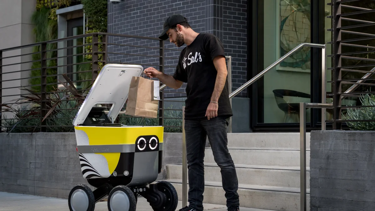 Delivery Robots Fleet Operator